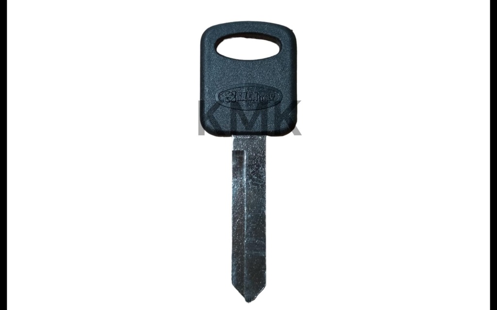 SFO30BP-LLAVE VEHICULO CABEZA PLAS